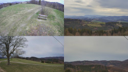 Sdružený snímek Bludný