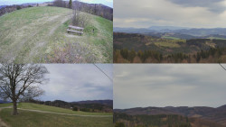 Sdružený snímek Bludný