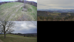 Sdružený snímek Bludný