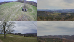 Sdružený snímek Bludný