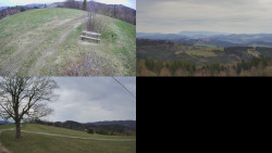 Sdružený snímek Bludný