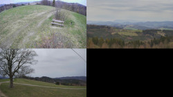 Sdružený snímek Bludný