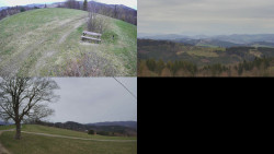 Sdružený snímek Bludný