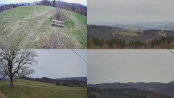 Sdružený snímek Bludný