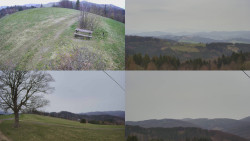 Sdružený snímek Bludný