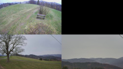 Sdružený snímek Bludný