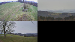 Sdružený snímek Bludný