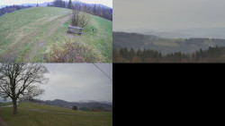 Sdružený snímek Bludný