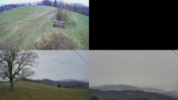 Sdružený snímek Bludný