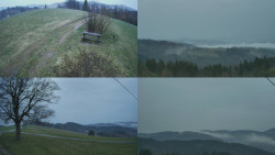 Sdružený snímek Bludný