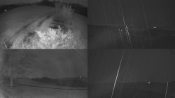 Sdružený snímek Bludný