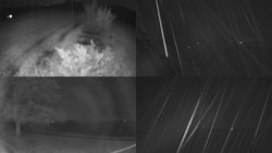 Sdružený snímek Bludný