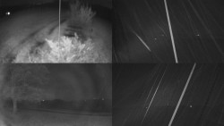 Sdružený snímek Bludný