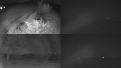 Sdružený snímek Bludný