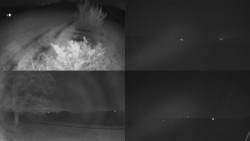 Sdružený snímek Bludný