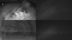 Sdružený snímek Bludný