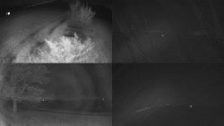 Sdružený snímek Bludný