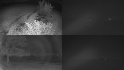 Sdružený snímek Bludný