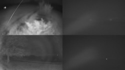 Sdružený snímek Bludný