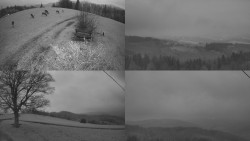 Sdružený snímek Bludný