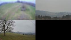 Sdružený snímek Bludný