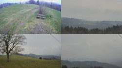 Sdružený snímek Bludný