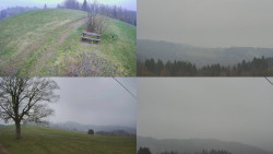 Sdružený snímek Bludný