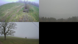 Sdružený snímek Bludný