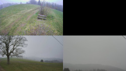 Sdružený snímek Bludný