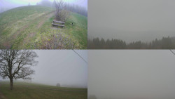 Sdružený snímek Bludný