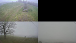 Sdružený snímek Bludný