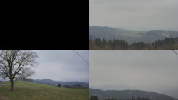 Sdružený snímek Bludný