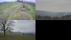 Sdružený snímek Bludný