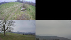 Sdružený snímek Bludný