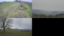 Sdružený snímek Bludný