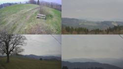 Sdružený snímek Bludný