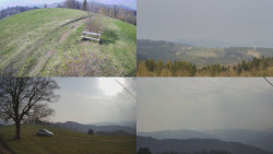 Sdružený snímek Bludný