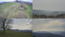 Sdružený snímek Bludný