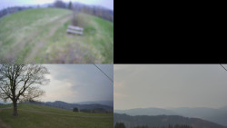 Sdružený snímek Bludný