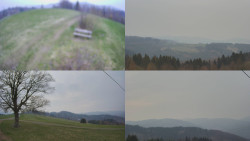 Sdružený snímek Bludný