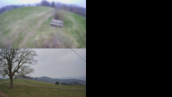 Sdružený snímek Bludný