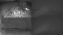 Sdružený snímek Bludný