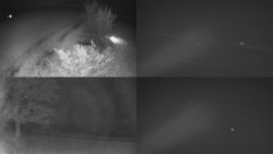 Sdružený snímek Bludný