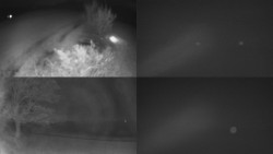 Sdružený snímek Bludný