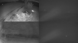 Sdružený snímek Bludný