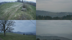 Sdružený snímek Bludný