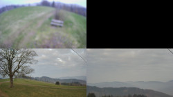 Sdružený snímek Bludný