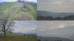 Sdružený snímek Bludný