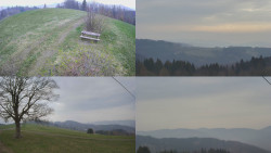 Sdružený snímek Bludný