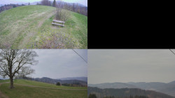 Sdružený snímek Bludný